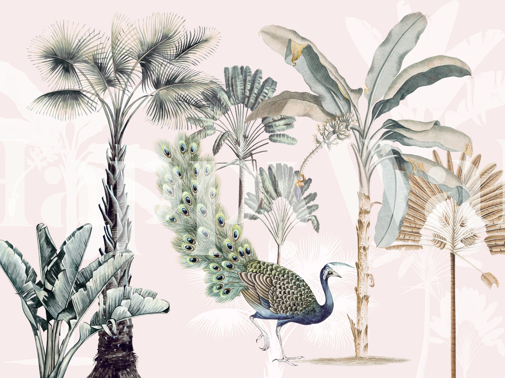 Tropische Pflanzen und Pfau in sanften Farben Wandtapete