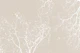 Branches Soft Beige