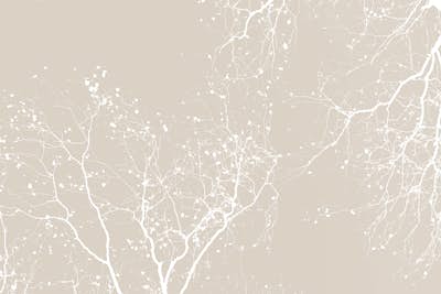 Τοιχογραφία