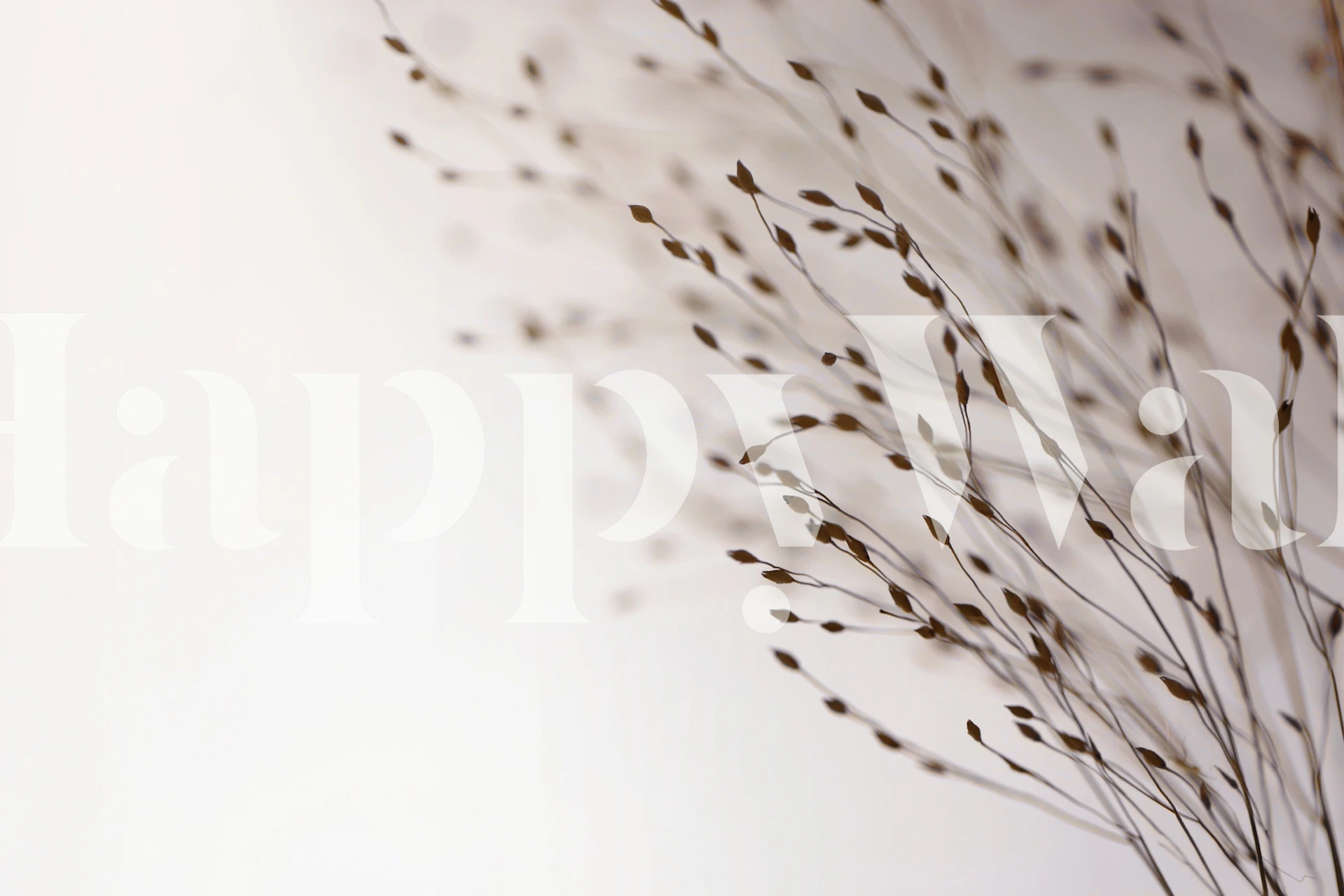 Fototapeta Hnědá tráva na pozadí měkkého, zamlženého pozadí