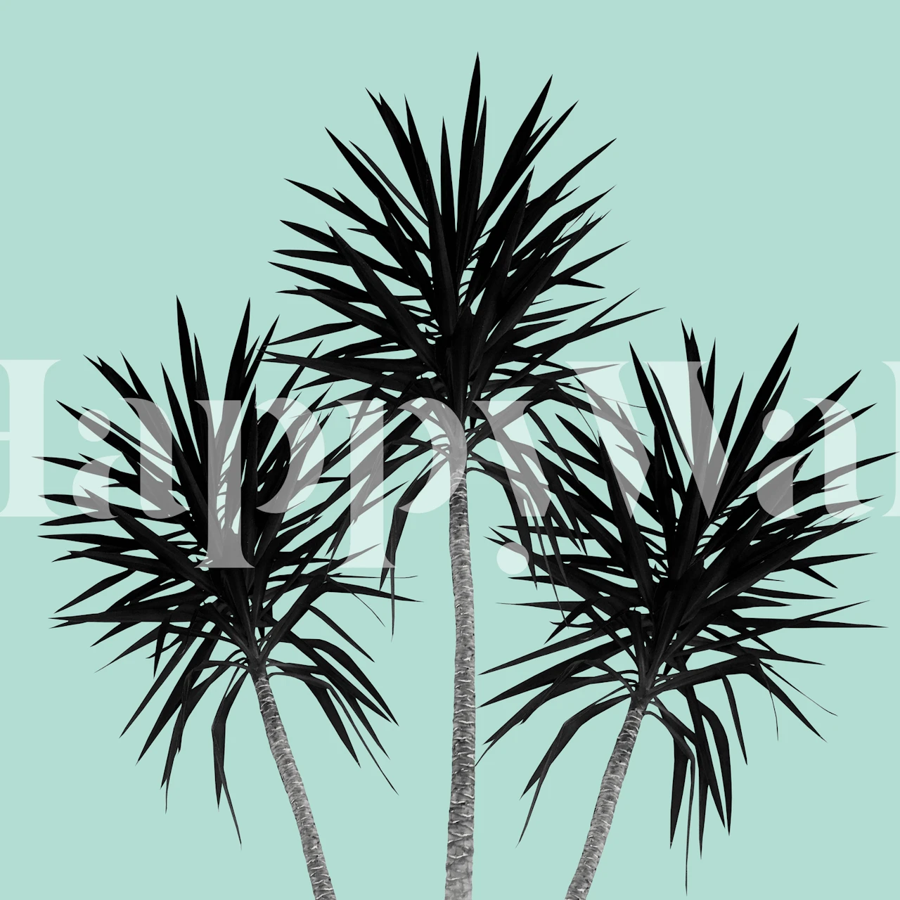 Silhouette of palm trees against a teal sky
