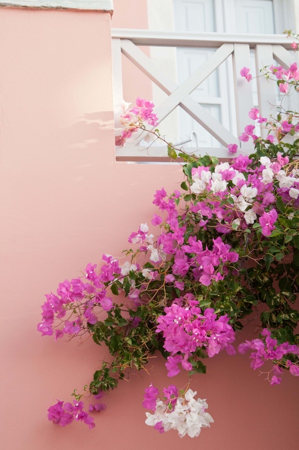 Santorini Oia Beauty Dream 5