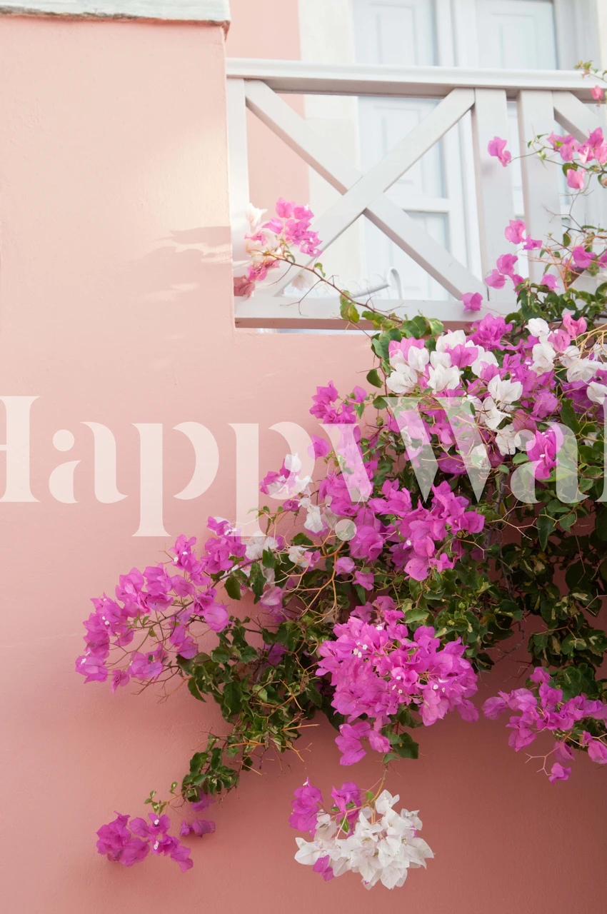 Pink bougainvillea flowers against a soft pink wall wallpaper