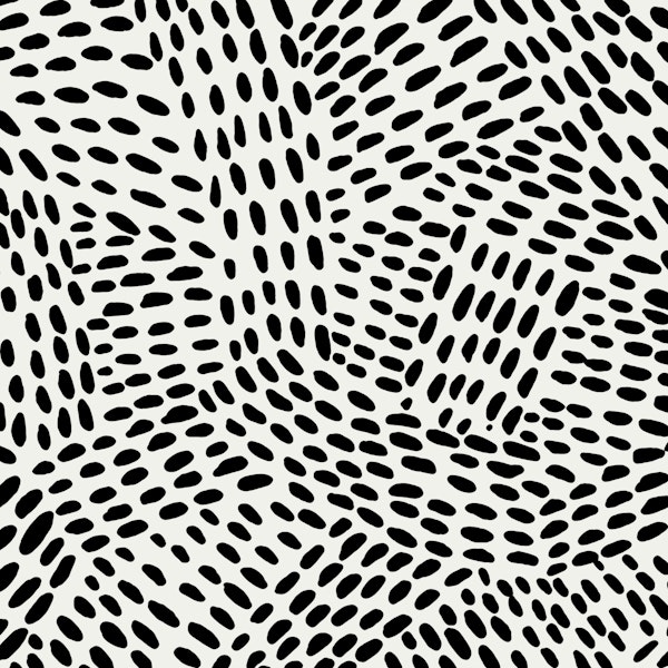 Black and white dotted lines