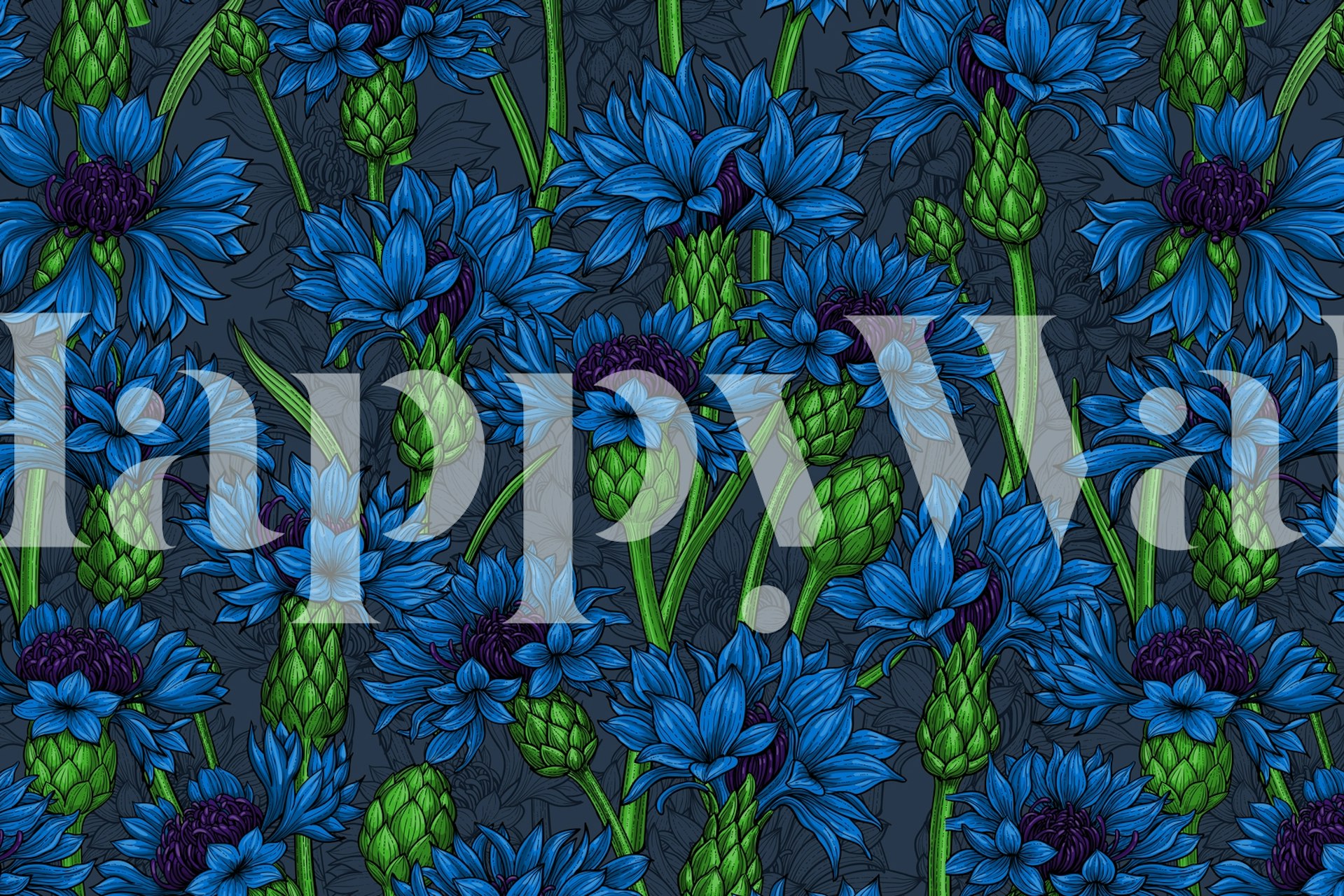 Vibrant blue cornflowers with green stems on dark background wallpaper