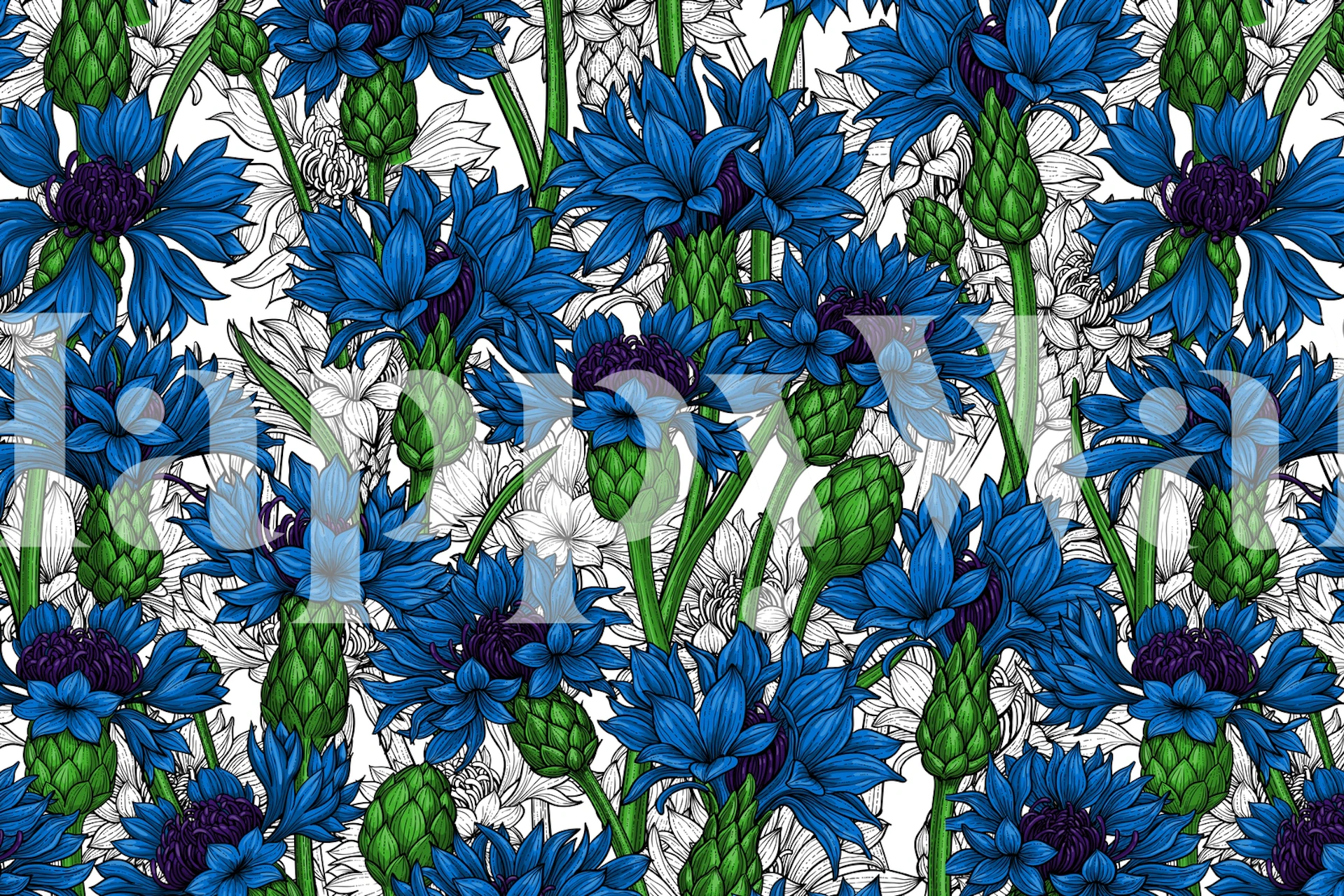 Cornflowers 2 wall mural showing vibrant blue flowers and green leaves on a white background.