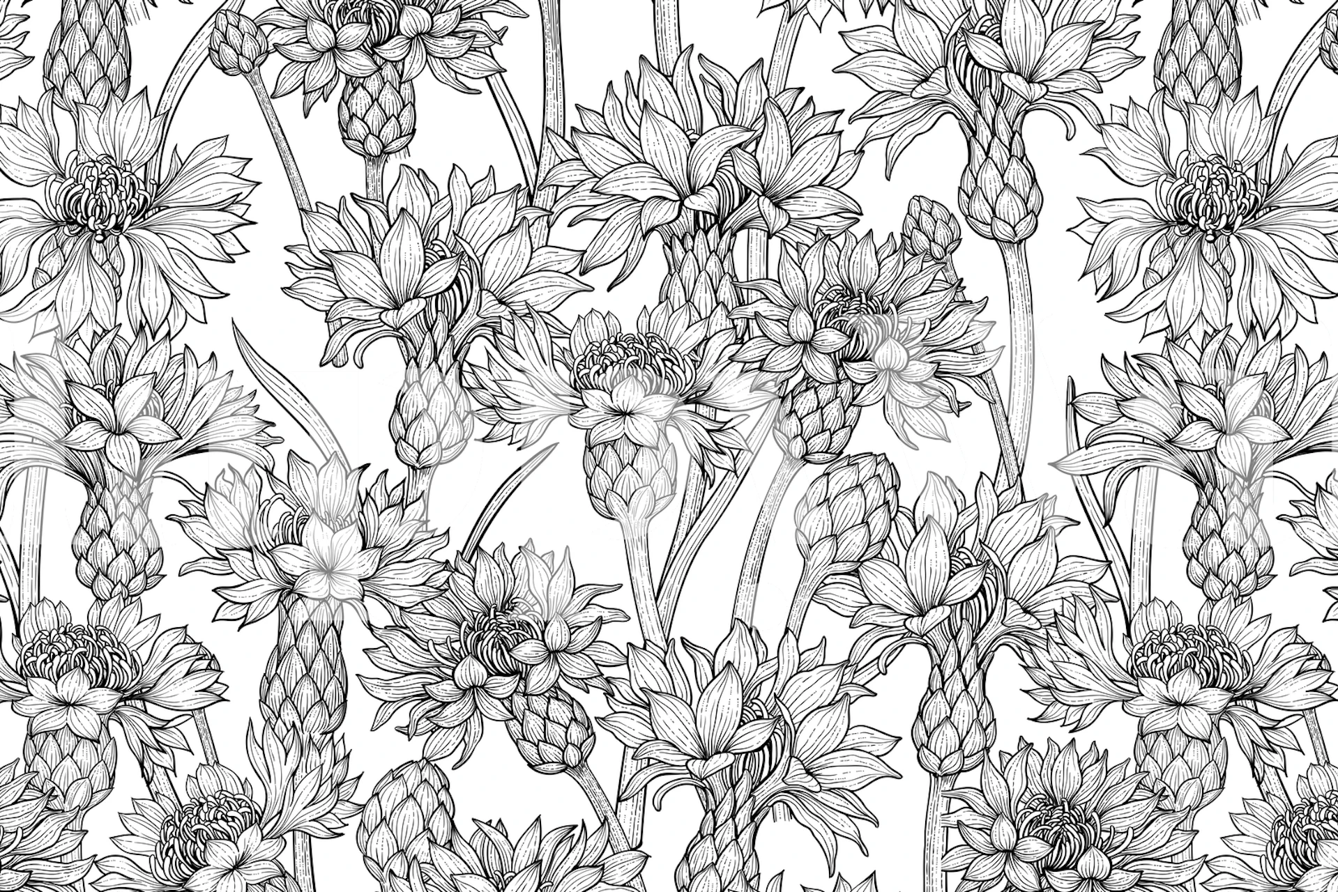 Cornflowers 4 tapetdesign i et rom