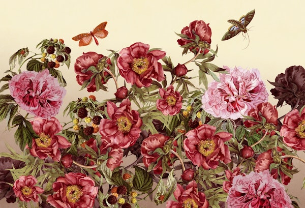 floral bloom in blush and pink