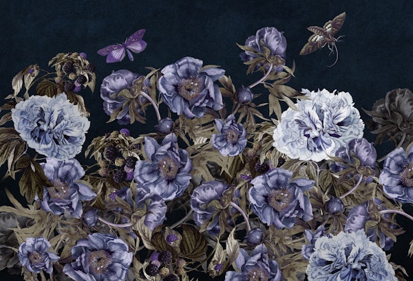 blooming night flowers