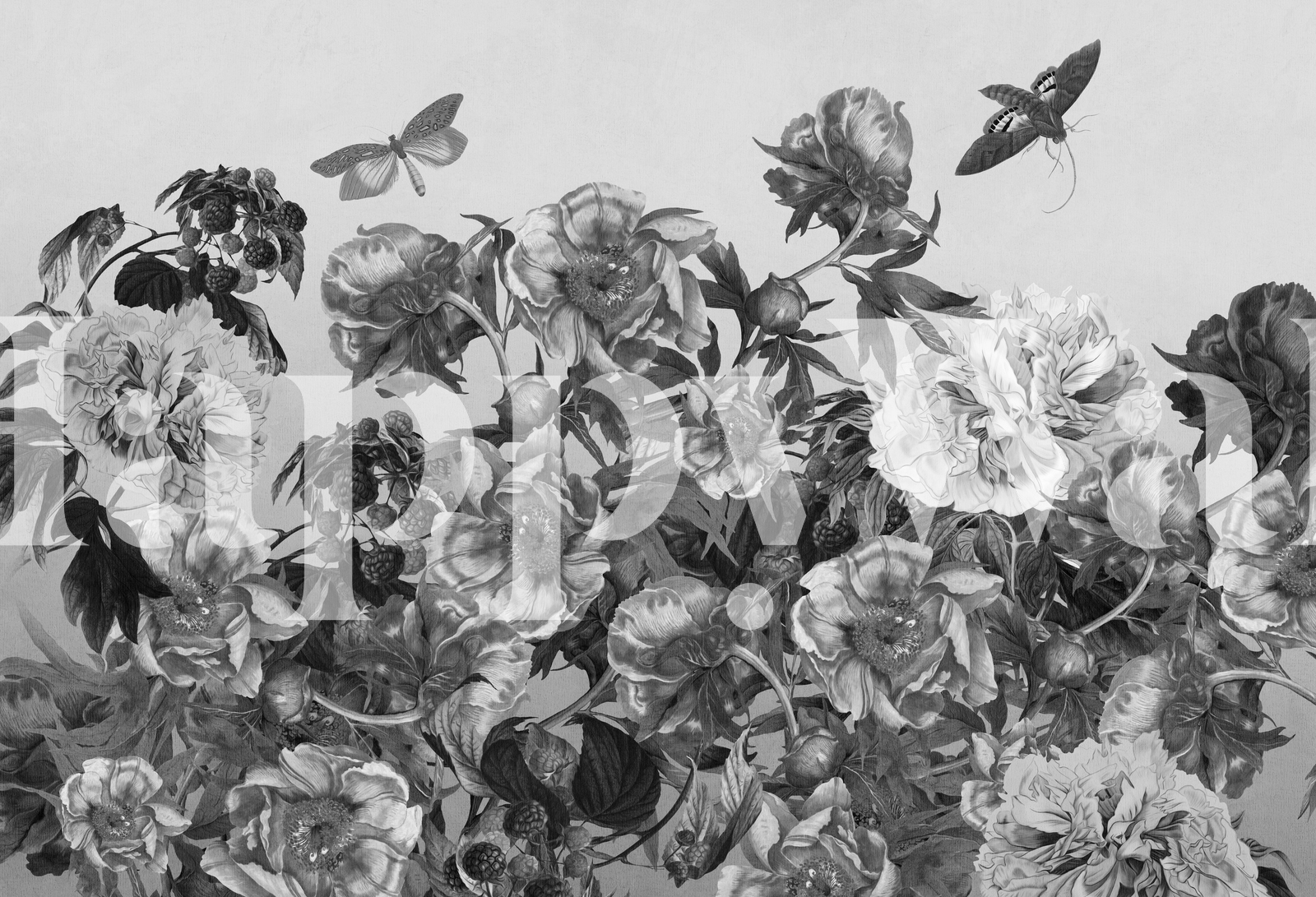 Elegant Grey Flowers Wallpaper Buy Online at Happywall