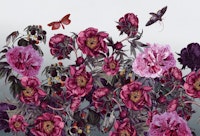 peonies garden flowers papiers peint