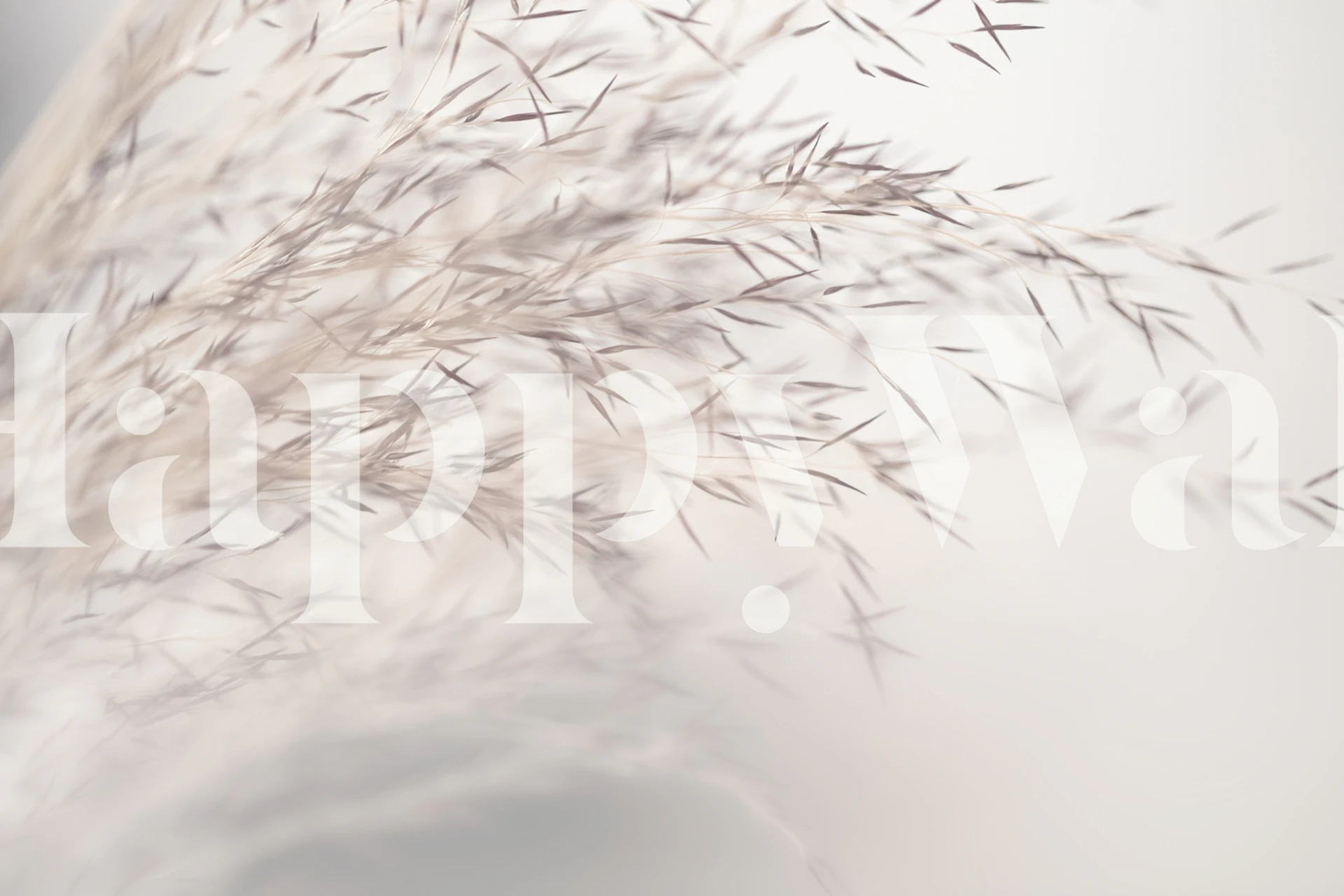 Soft Grass Fading White papel de parede em um quarto