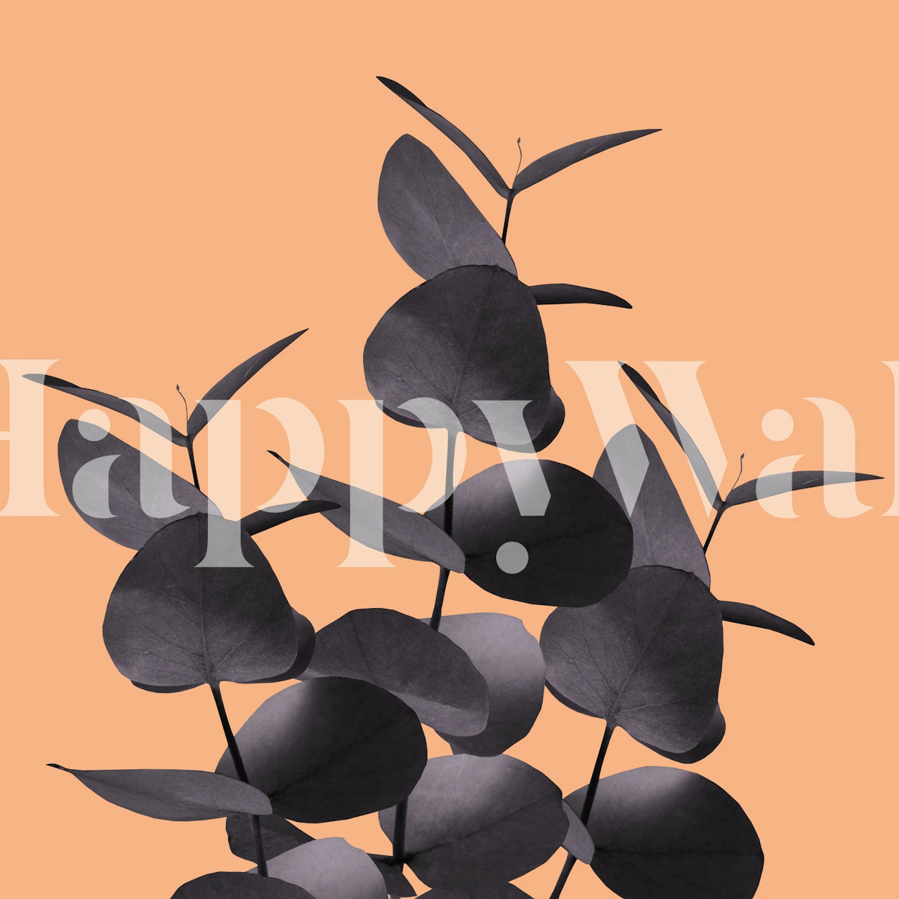 Eucalyptus leaves in dark gray on a peach background wallpaper