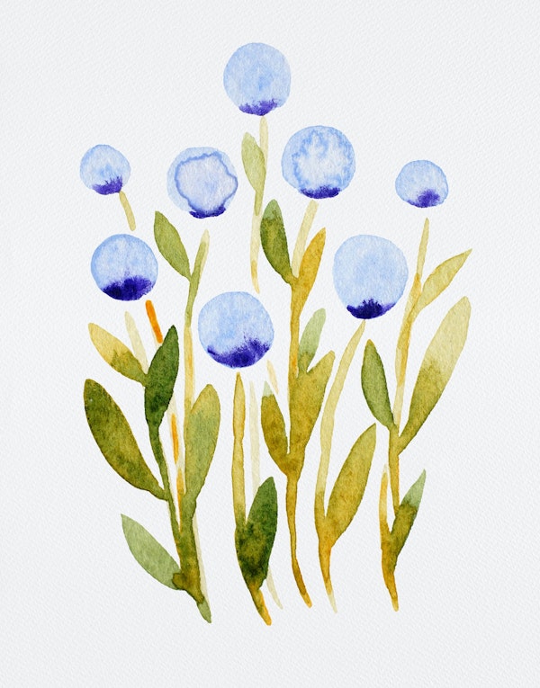 Simple blue flowers