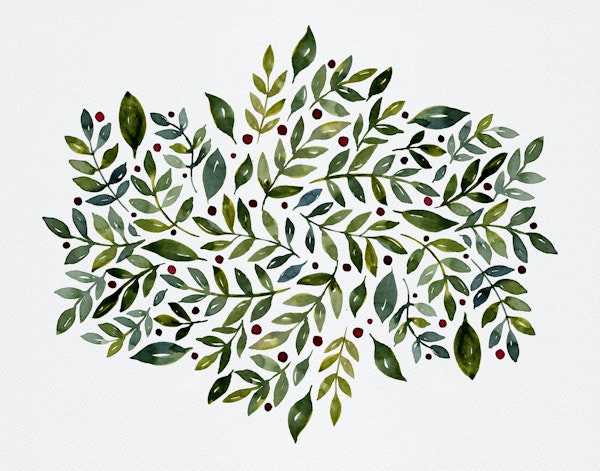 Festive green branches