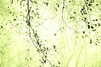 leaves and branches limegreen papiers peint