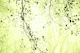 leaves and branches limegreen