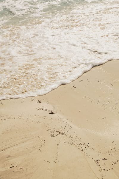 Τοιχογραφία