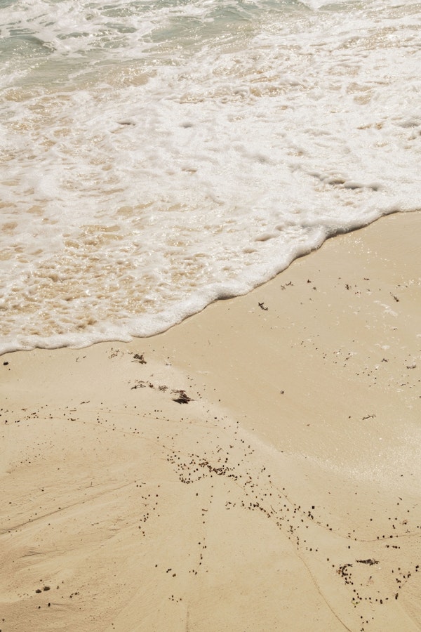 Mexican Ocean Beauty 3