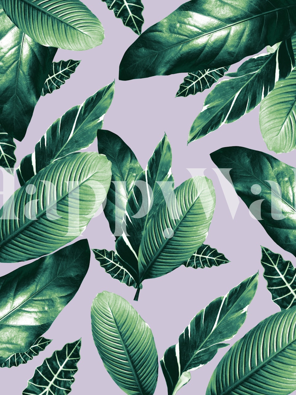 Caribbean leaves wallpaper in a room