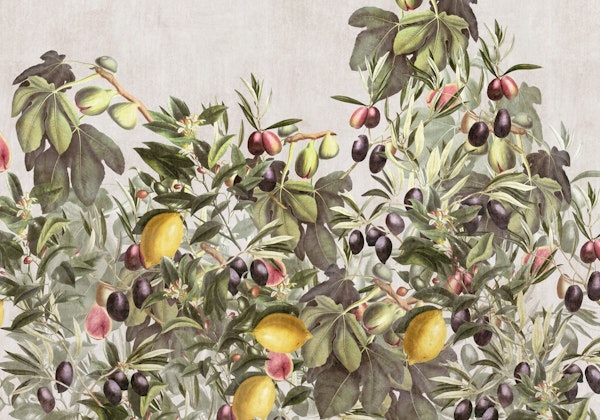 botanical citrus garden