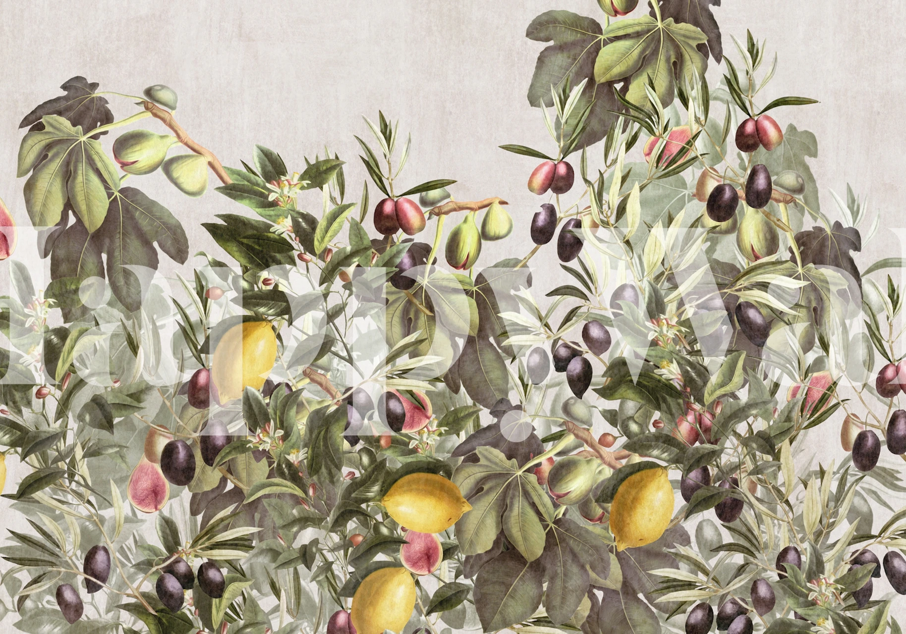 Botanical citrus garden tapet i ett rum