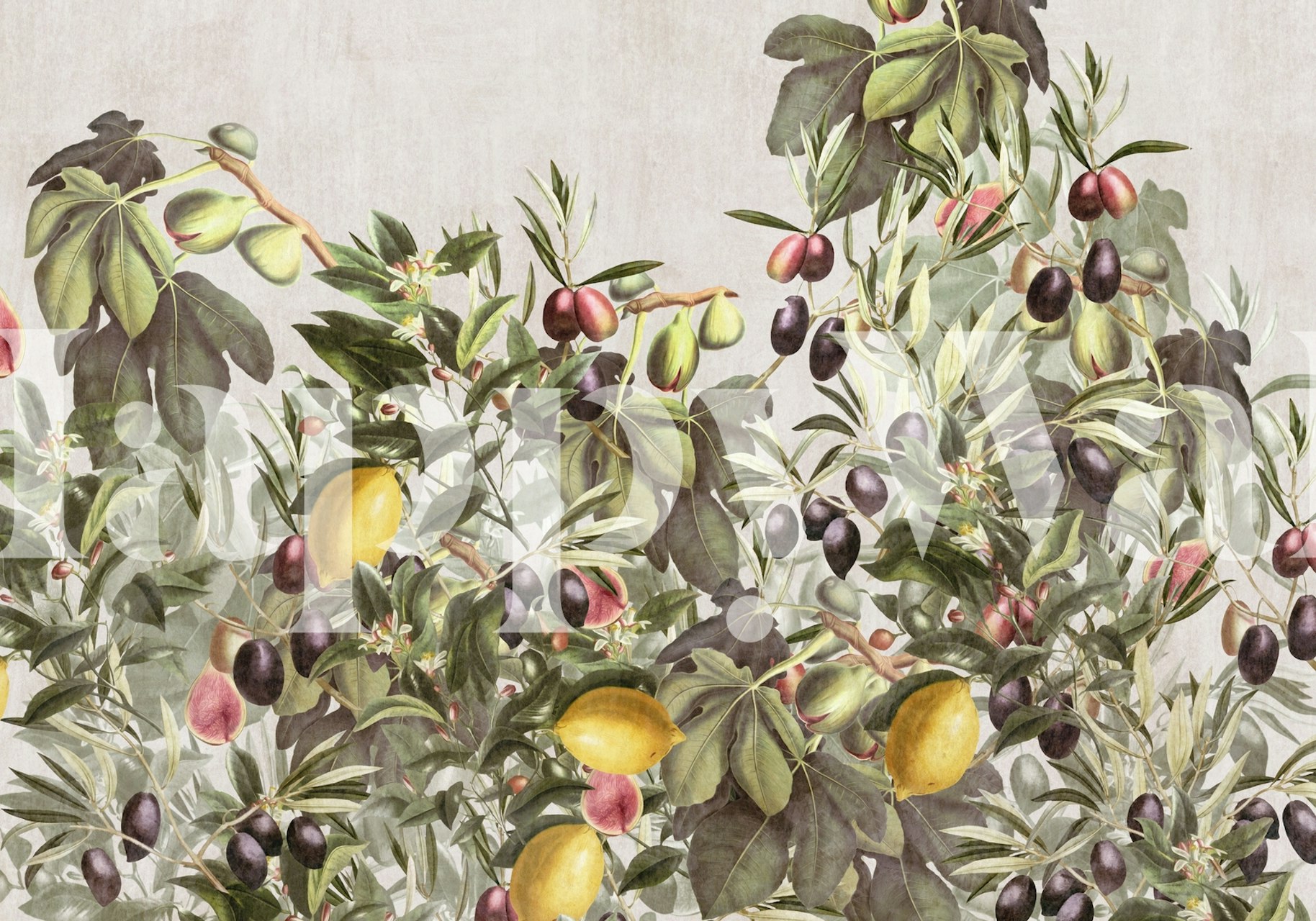 Papier peint Botanical citrus garden dans une pièce