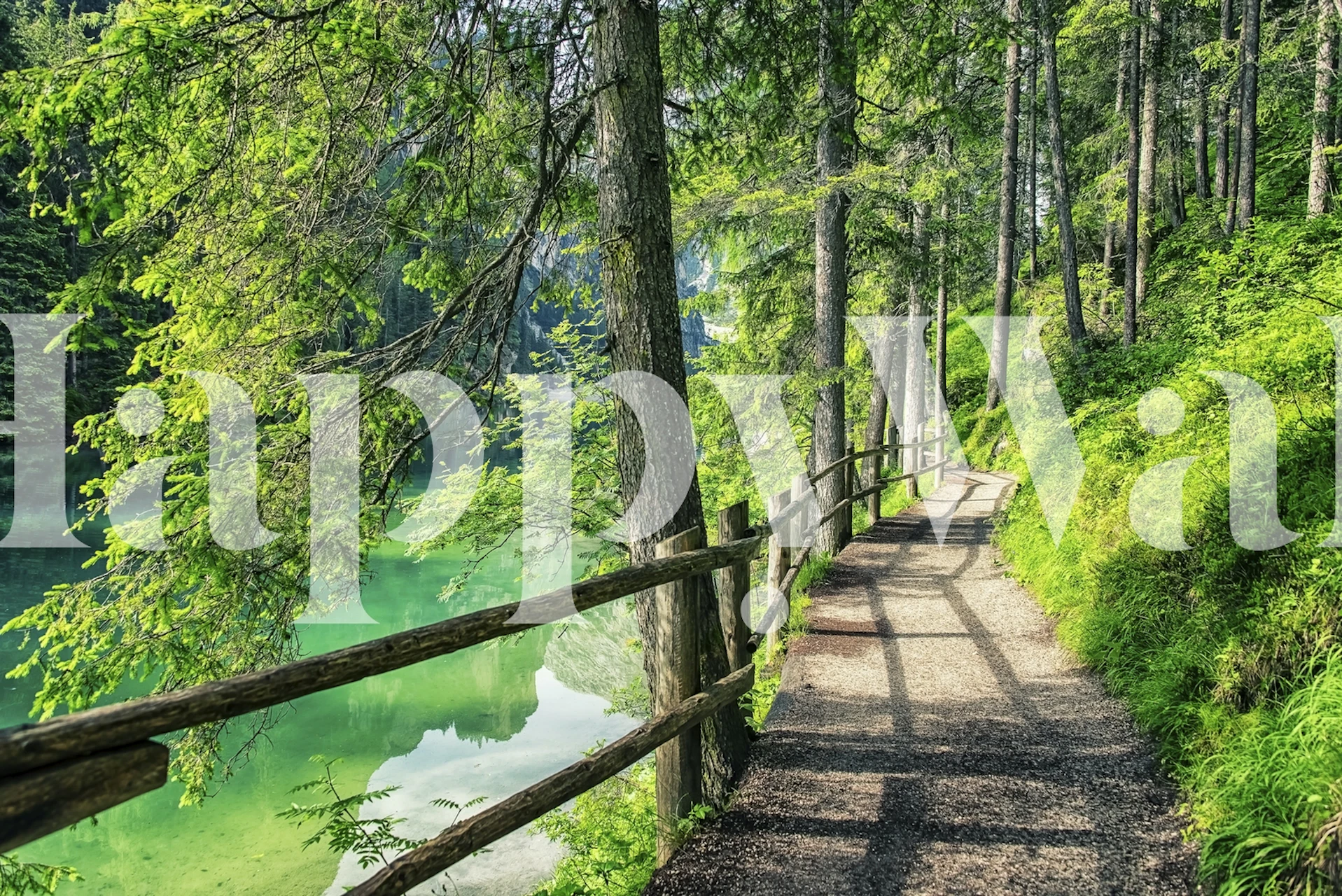 Scenic forest path with green trees and tranquil water wallpaper