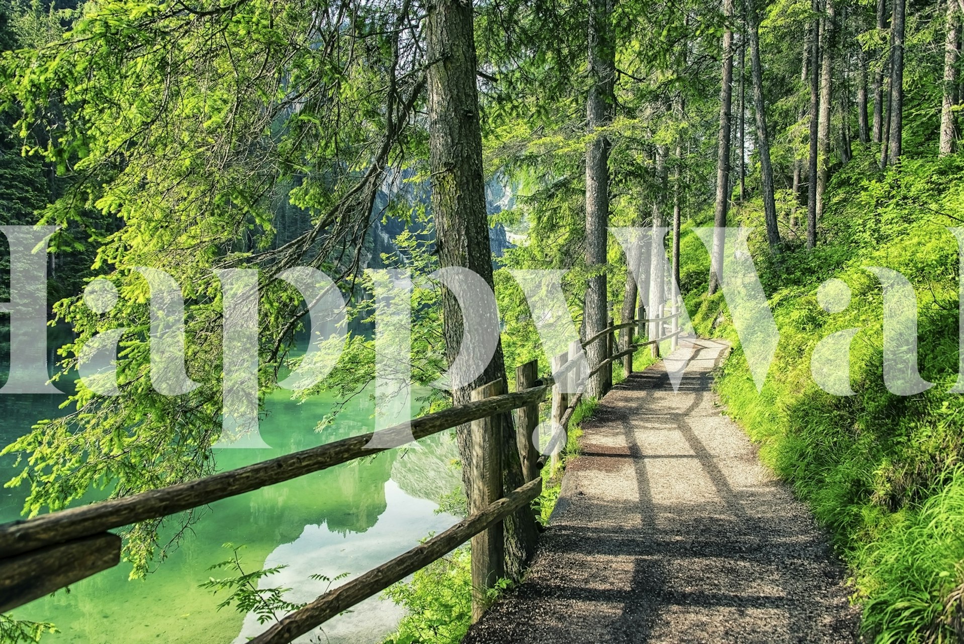 Scenic forest path with green trees and tranquil water wallpaper