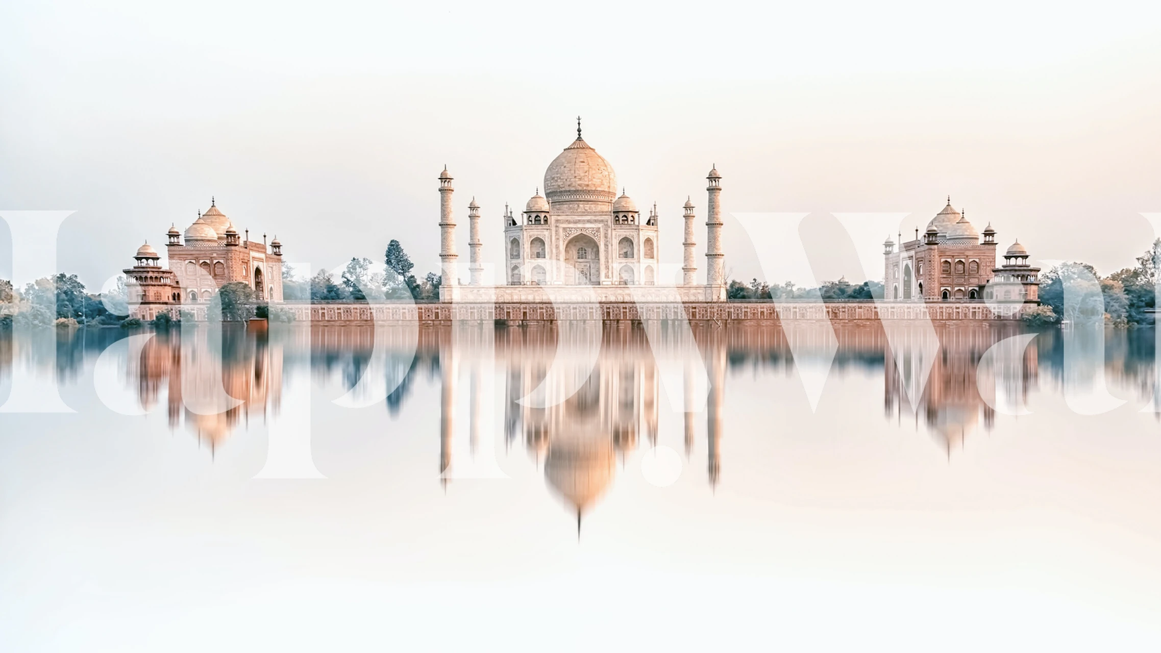 Taj Reflection wallpaper displayed in a room