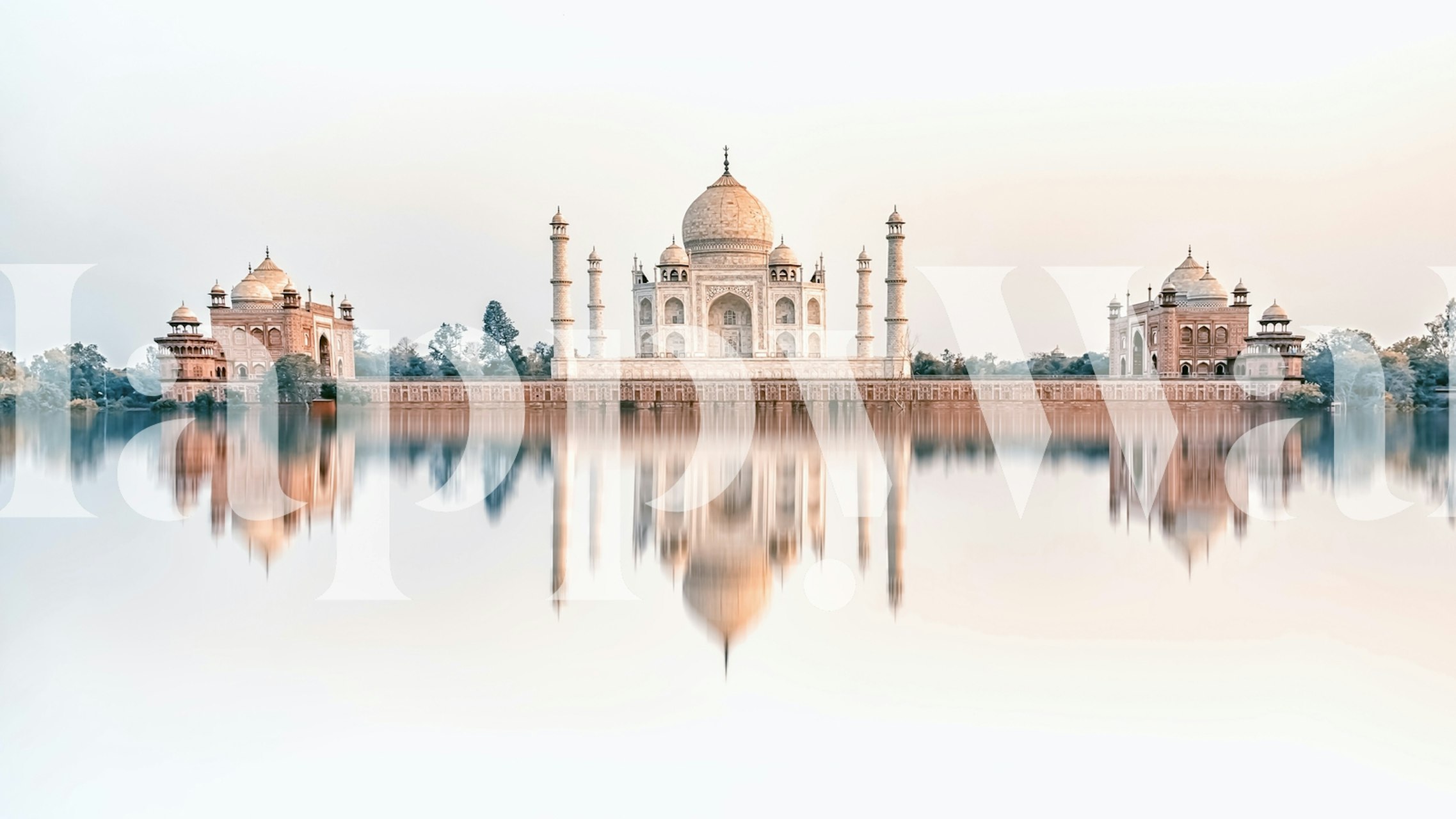 Papel de parede Taj Reflection exibido em uma sala