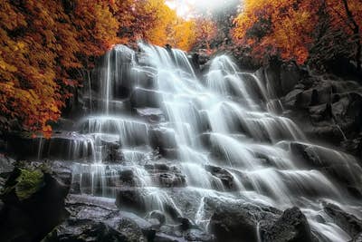 Τοιχογραφία