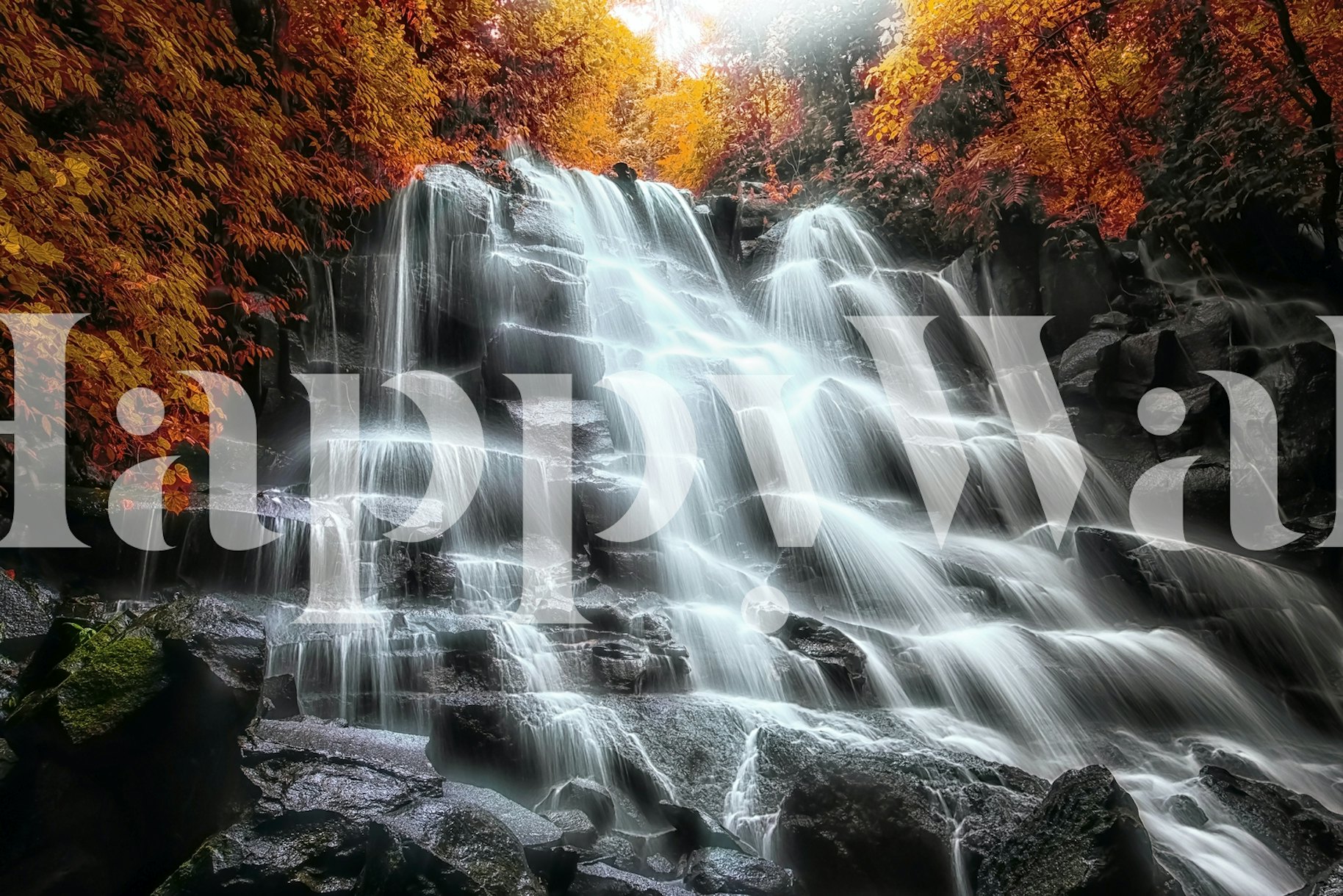 Autumn Vibes wallpaper | Happywall