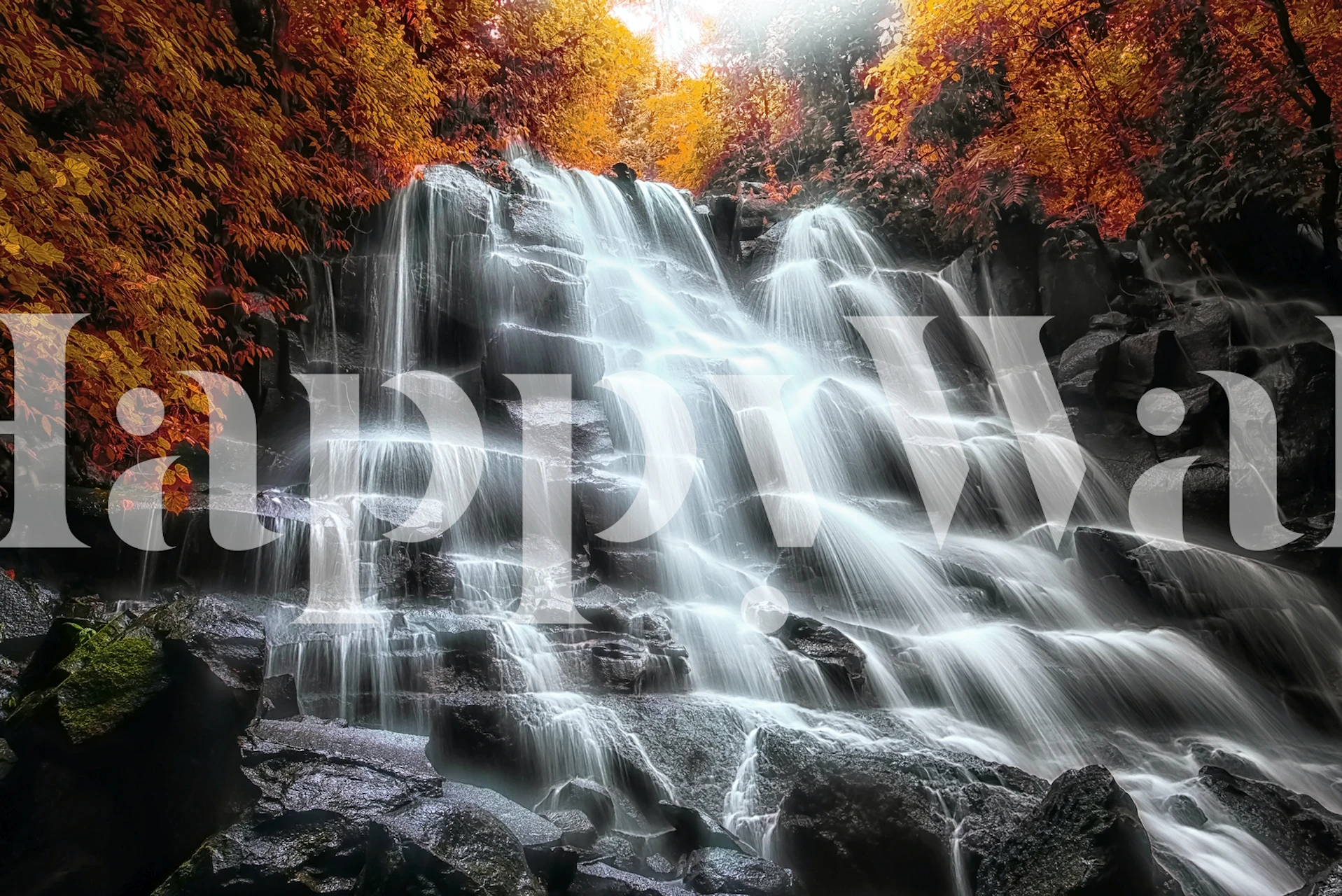 Papel pintado Autumn Vibes con hojas coloridas