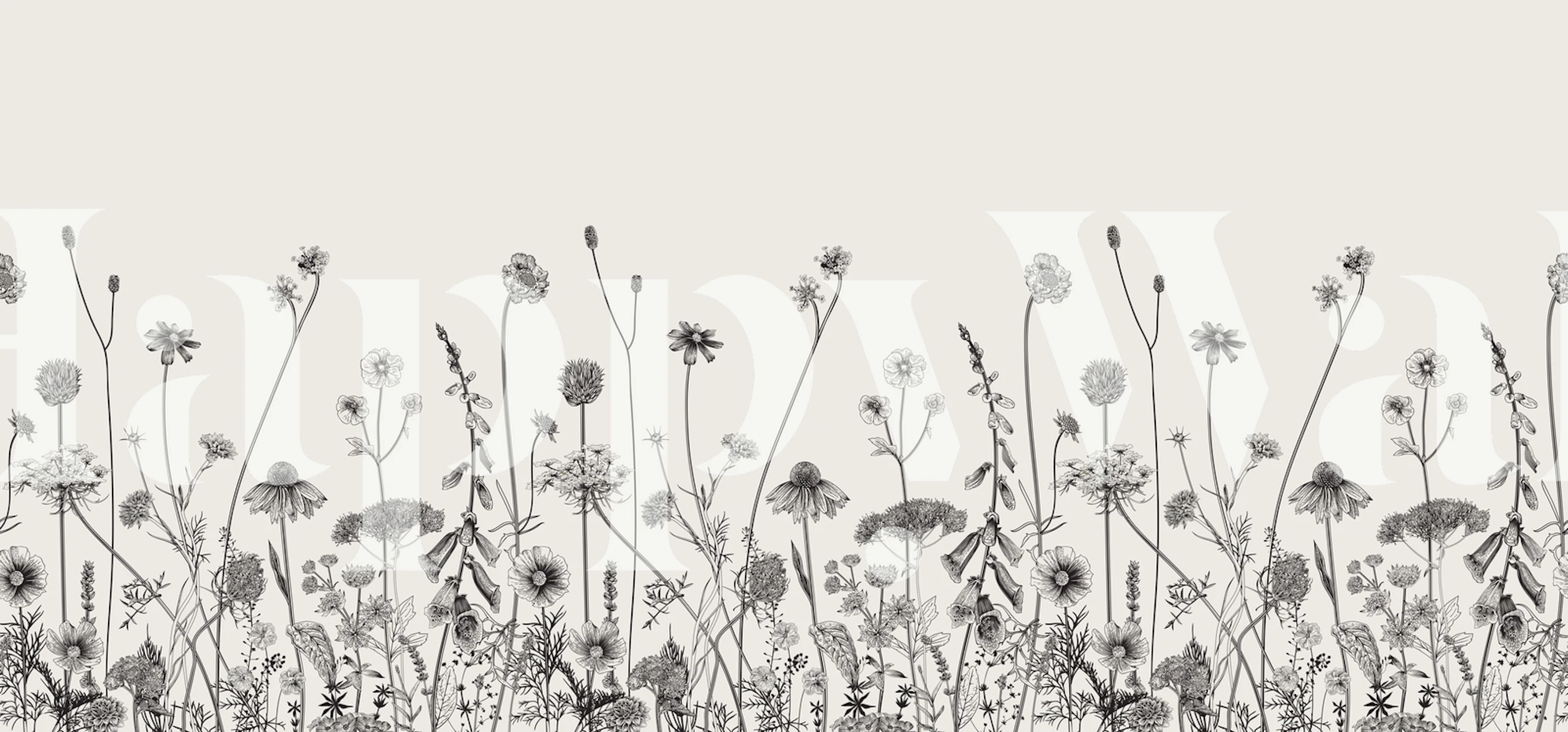 Black and white floral pattern wallpaper featuring tall flowers and grasses