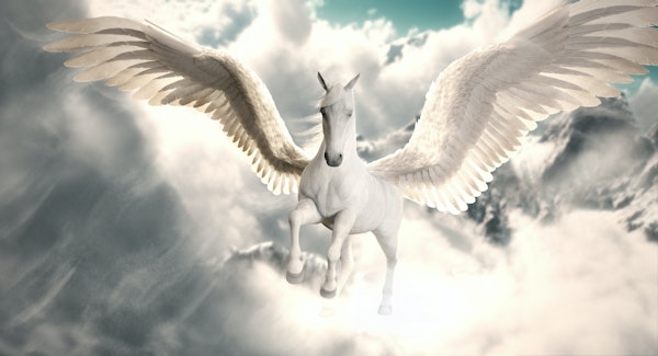 Flight of the pegasus