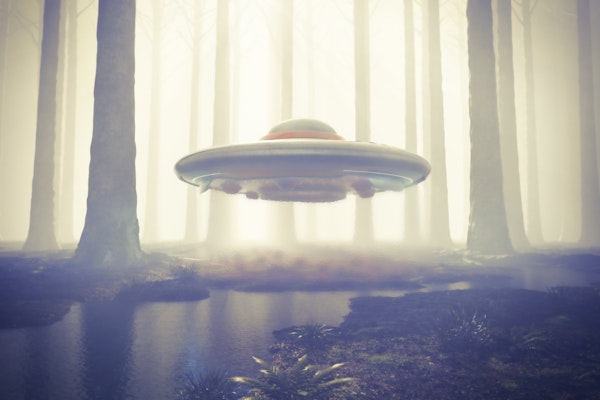 UFO in forest