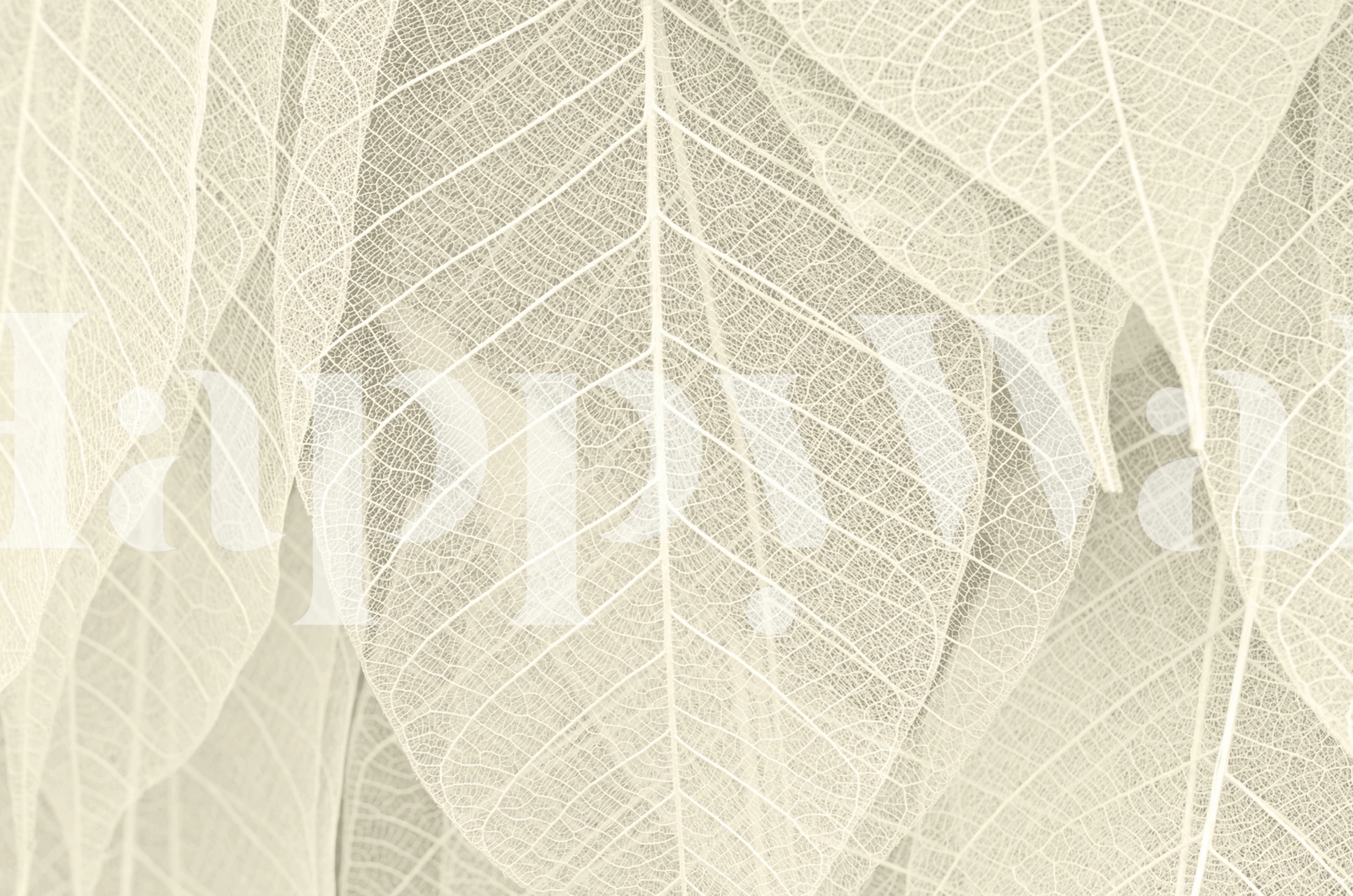 Overlay of delicate dried leaves in soft beige tones wallpaper