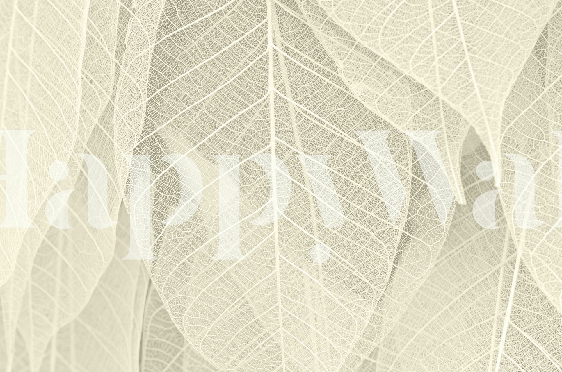 Dried leaves papel de parede em um quarto