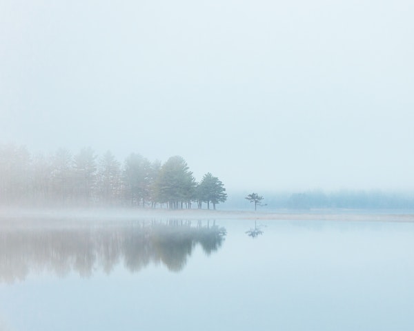 Foggy morning lake