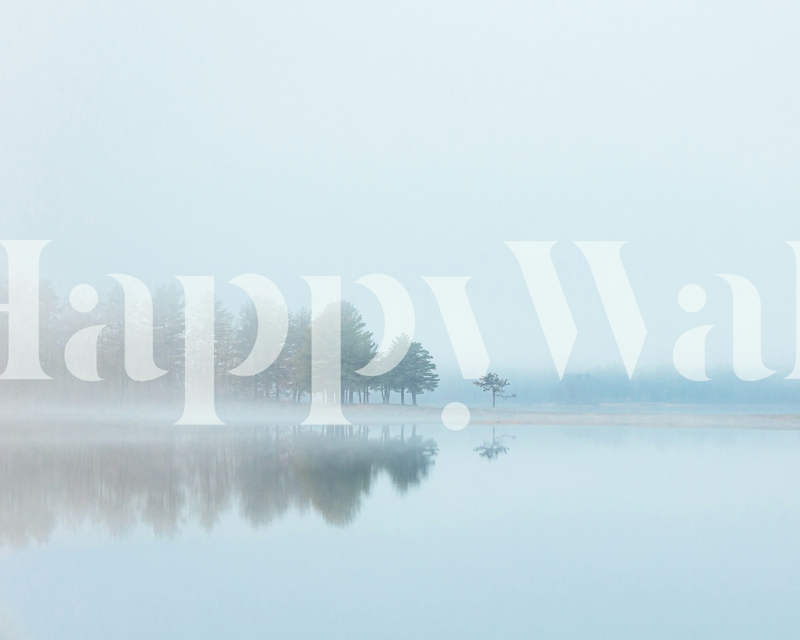 Foggy morning lake with trees reflecting on water wallpaper