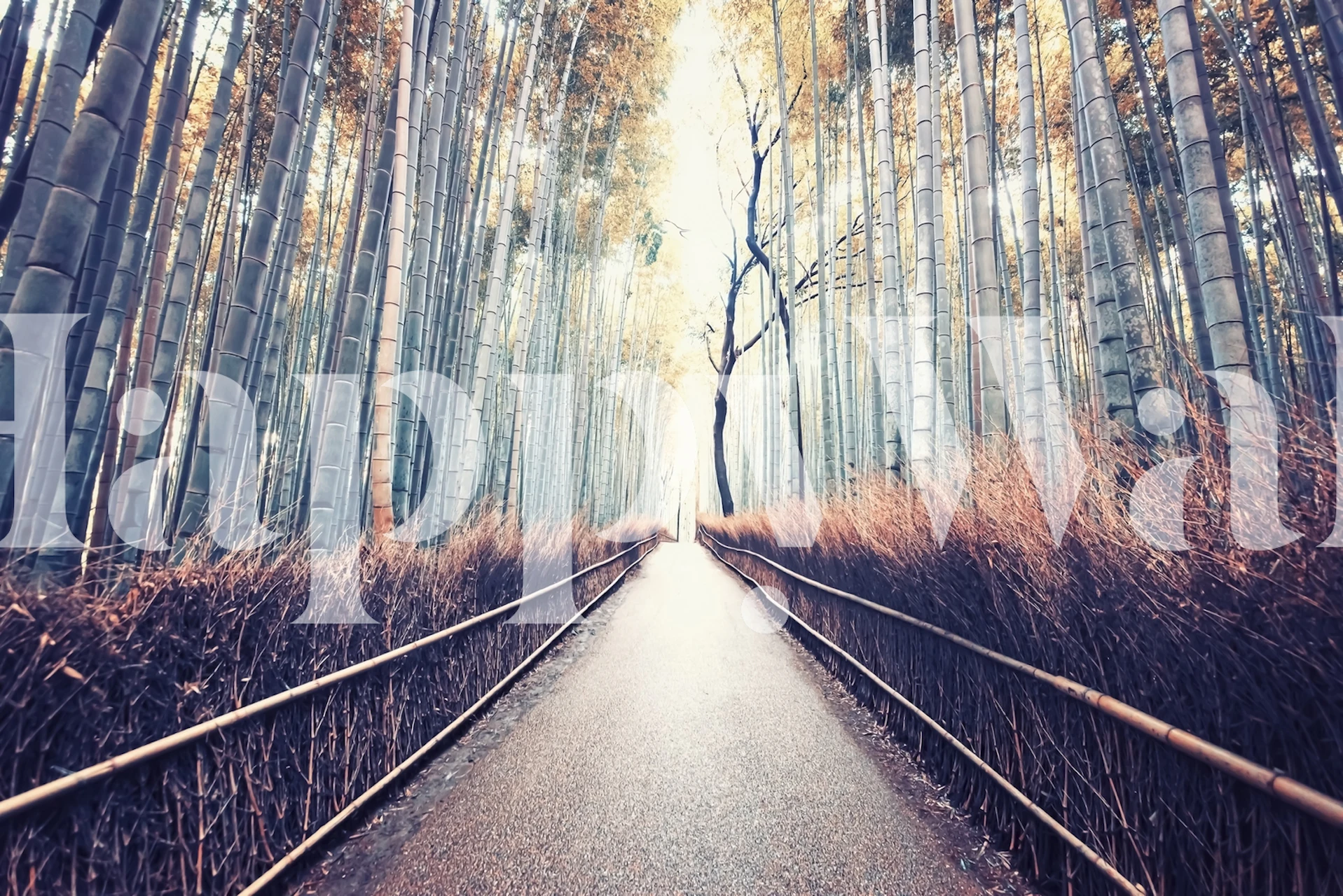 Bamboo path wallpaper in a room