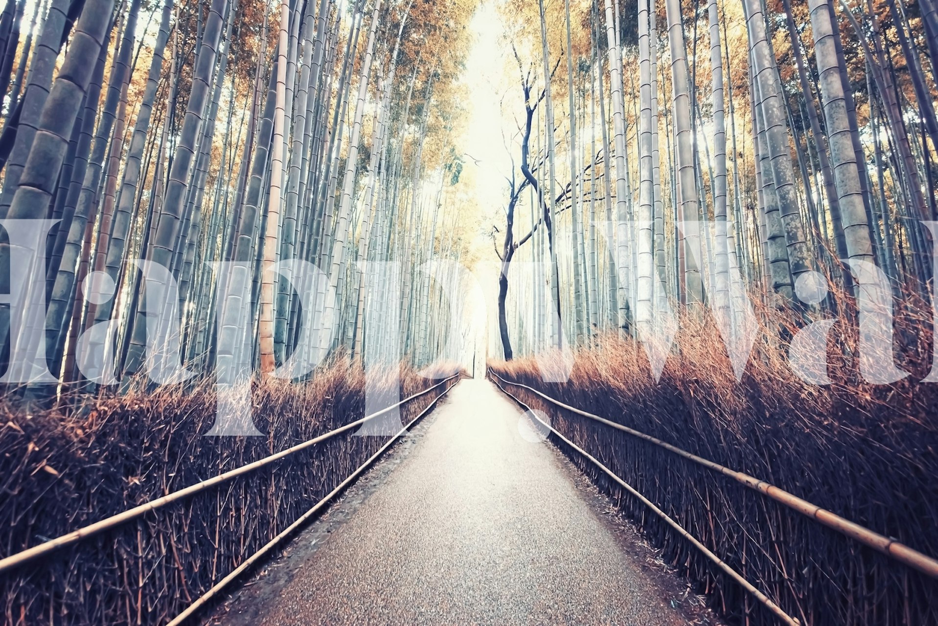 Bamboo path wallpaper in a room