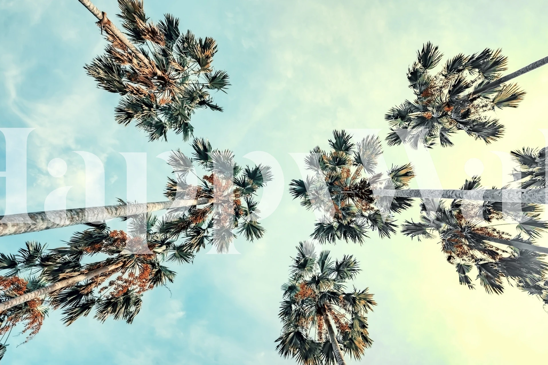 Tropical palm tree wallpaper design