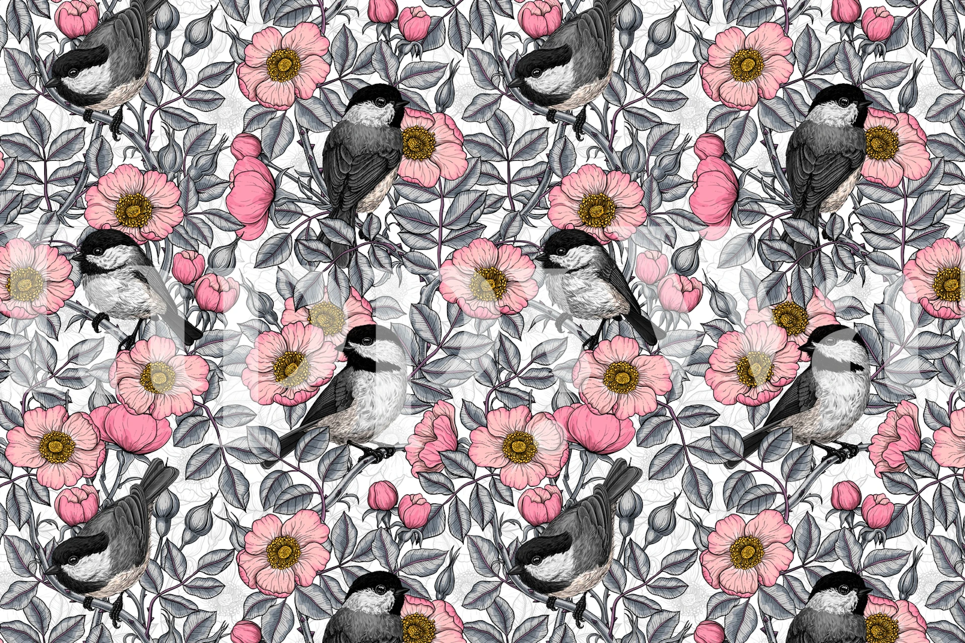 Chickadees in wild rose vzor tapety