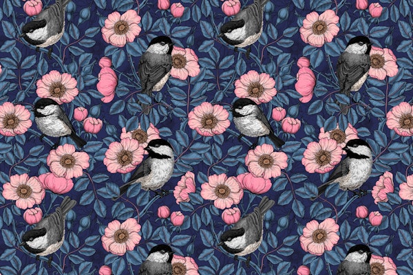 Birt in the wild rose