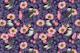 Birt in the wild rose 2