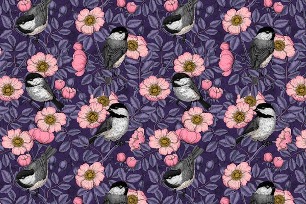 Birt in the wild rose 2