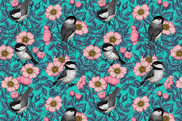 Chickadees in the wild rose 2