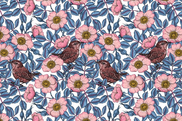 Wrens in the roses 2